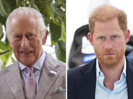 Gran Bretagna, sudditi felici per incontro fra Re Carlo e Harry: popolarità in crescita