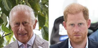 Gran Bretagna, sudditi felici per incontro fra Re Carlo e Harry: popolarità in crescita