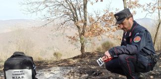 Incendi, Carabinieri Forestali: “98% causati dall’uomo, in primi 6 mesi 3800 ettari bruciati”
