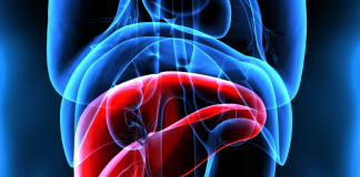 Mash, esperti a confronto su importanza diagnosi per patologia epatica sottovalutata