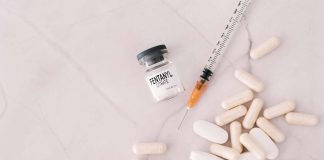 Fentanyl, anche corse clandestine cavalli tra ipotesi furto all’ospedale Israelitico