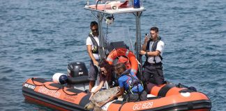 A Marina di Ravenna torna la ‘Festa della cozza’