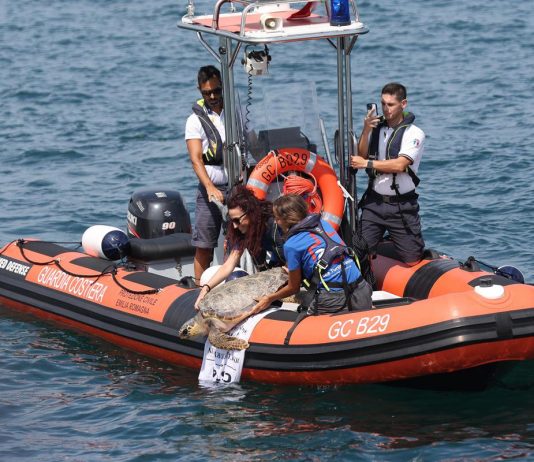 A Marina di Ravenna torna la ‘Festa della cozza’