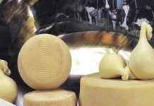 Consorzio Agrituristico Mantovano, sabato ai mercati contadini storie e sapori dei formaggi locali