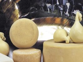 Consorzio Agrituristico Mantovano, sabato ai mercati contadini storie e sapori dei formaggi locali