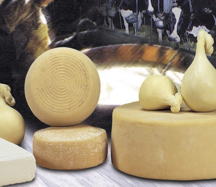 formaggi mantova