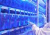 Scoperta una nuova malattia genetica del neurosviluppo