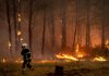 Incendi “mostruosi” in Francia e Spagna, oltre 325mila evacuati. In arrivo ondata di caldo ancora più intensa