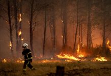 Incendi “mostruosi” in Francia e Spagna, oltre 325mila evacuati. In arrivo ondata di caldo ancora più intensa