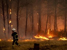Incendi “mostruosi” in Francia e Spagna, oltre 325mila evacuati. In arrivo ondata di caldo ancora più intensa