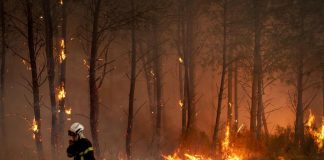 Incendi “mostruosi” in Francia e Spagna, oltre 325mila evacuati. In arrivo ondata di caldo ancora più intensa