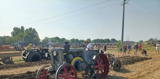 Aratura storica, trionfo a Quingentole: ecco le classifiche della 31ª edizione