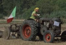 Quingentole, debutto di Agrifest: bambini e motori protagonisti