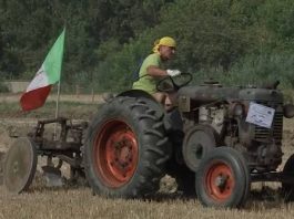Quingentole, debutto di Agrifest: bambini e motori protagonisti