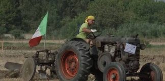 Quingentole, debutto di Agrifest: bambini e motori protagonisti