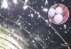 Bombe di ghiaccio sulle campagne, il maltempo ha devastato nuovamente i vivai di Canneto