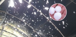 Bombe di ghiaccio sulle campagne, il maltempo ha devastato nuovamente i vivai di Canneto