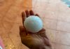 Chicchi di grandine come palline da tennis e vento: a rischio colture per 50mln