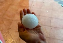 Chicchi di grandine come palline da tennis e vento: a rischio colture per 50mln