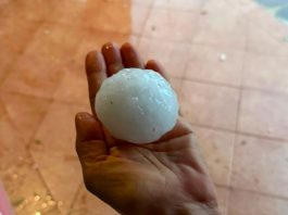 Chicchi di grandine come palline da tennis e vento: a rischio colture per 50mln
