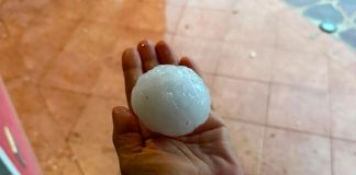 Chicchi di grandine come palline da tennis e vento: a rischio colture per 50mln