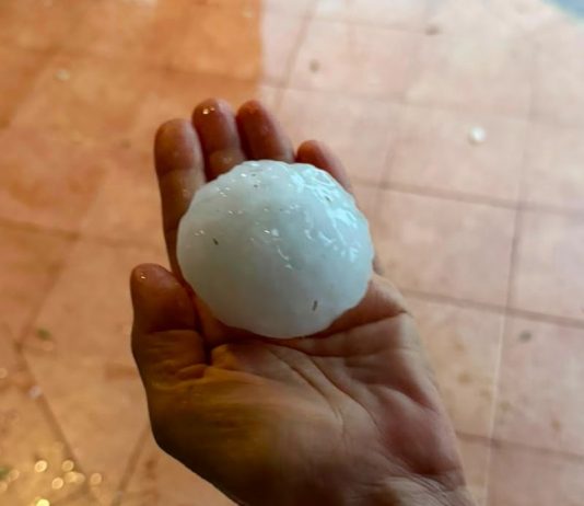 Chicchi di grandine come palline da tennis e vento: a rischio colture per 50mln
