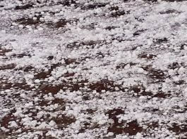 Allagamenti e grandine in tutto il Mantovano. Stop ai treni sulla Suzzara-Ferrara. Albero sulla carreggiata: code in A22