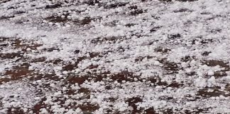 Allagamenti e grandine in tutto il Mantovano. Stop ai treni sulla Suzzara-Ferrara. Albero sulla carreggiata: code in A22