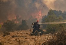 Maxi incendio a Creta, morti due vigili del fuoco: bruciati vivi intrappolati nelle fiamme