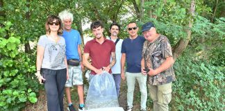 Gruppo Cap, 2.500 alborelle cresciute nel depuratore di Canegrate tornano nei fiumi lombardi