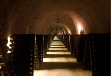 Vino: sempre più enoturisti nella Champagne, alla scoperta di Maison blasonate e vignerons