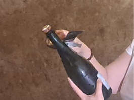 Vino: in Champagne vendemmia 2026 la più anticipata di sempre, sfida cambiamenti climatici e mercati