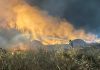 Infermo di fuoco a Maracalagonis, incendio domato: il post della sindaca