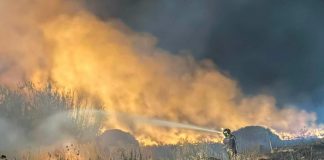 Infermo di fuoco a Maracalagonis, incendio domato: il post della sindaca