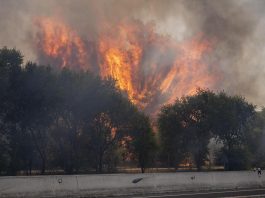 Francia e Spagna in ginocchio per gli incendi, Macron schiera l’esercito