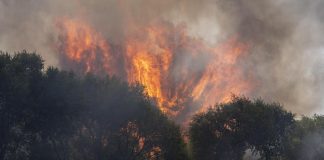 Francia e Spagna in ginocchio per gli incendi, Macron schiera l’esercito