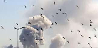Nuovi raid Usa in Iran, Teheran risponde: colpite basi americane in Kuwait e Bahrein