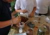 Gonzaga, laboratori creativi per bambini all’ex Convento di Santa Maria