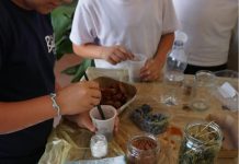 Gonzaga, laboratori creativi per bambini all’ex Convento di Santa Maria