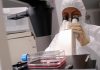 WorldPride, timori autorità sanitarie per la dermatofilosi, cos’è e come si trasmette