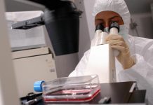 WorldPride, timori autorità sanitarie per la dermatofilosi, cos’è e come si trasmette