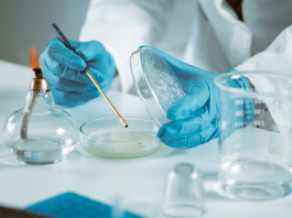 Linfoma mantellare, ‘con trattamento chemio-free in prima linea -43% rischio di progressione o morte’