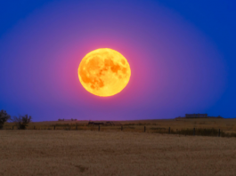 Luna del Cervo, stasera il cielo regala uno degli spettacoli più suggestivi dell’anno