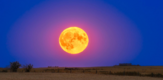 Luna del Cervo, stasera il cielo regala uno degli spettacoli più suggestivi dell’anno