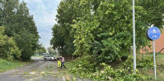 Maltempo Asola: anche domani spazzatrice in azione per ripulire strade da accumuli di foglie