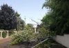 Grandine, vento e pioggia nel Mantovano: ancora alberi caduti e strade bloccate