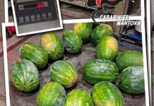 Marcaria, rubano 180 kg di angurie e minacciano il titolare con un coltello: arrestati