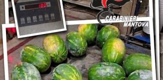 Marcaria, coltello in pugno rapinano agricoltore: volevano sottrargli 180 kg di angurie. Arrestati