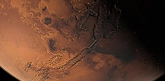 Tutti i segreti nella dieta degli astronauti, un’alga dalla Sardegna per conquistare Marte