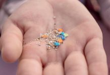 Salute, studio italiano: “Infarti più gravi con microplastiche, fumo e inquinamento”